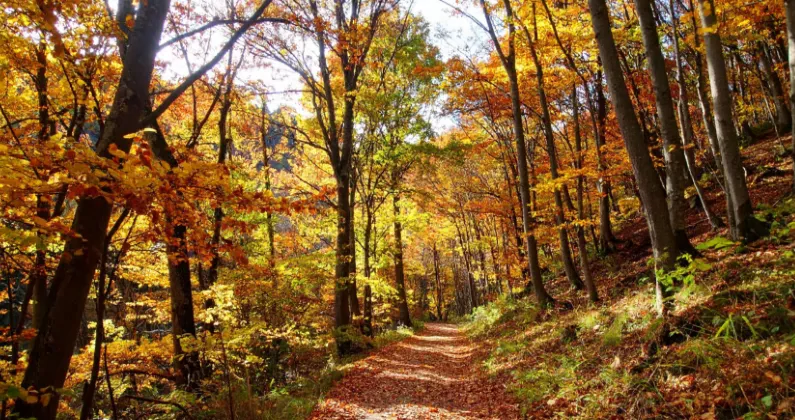 Retirement planning: a long-term approach that starts today